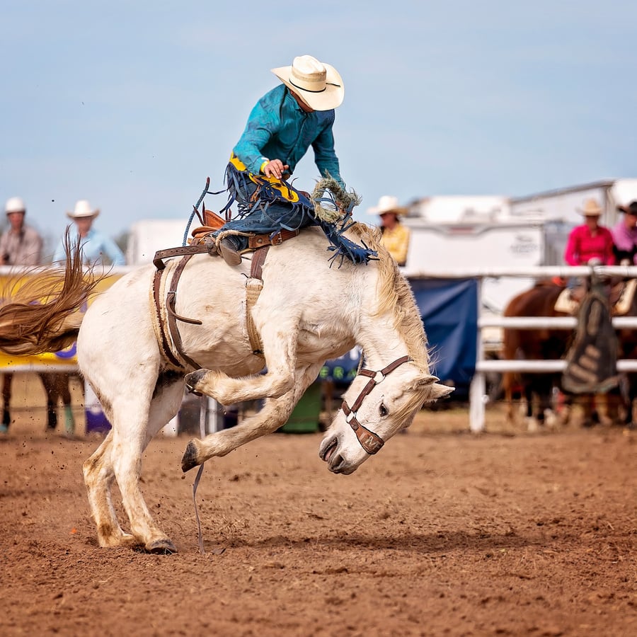 Cowboy On Bucking Bronco At Rodeo